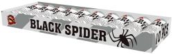 Black Spider 10 Stcke
