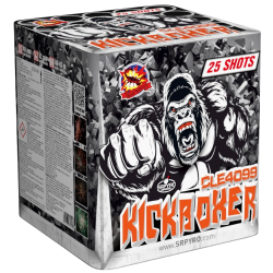 Kickboxer 25 Schuss 50 mm