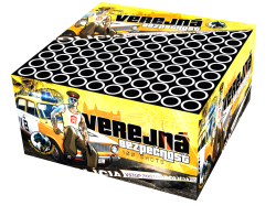 Verejn bezpenost 100 Schuss 20 mm