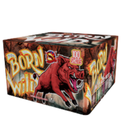 Born Wild 100 Schuss 25 mm