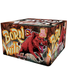 Born Wild 100 Schuss 25 mm